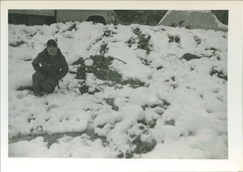 Snow in Musrara